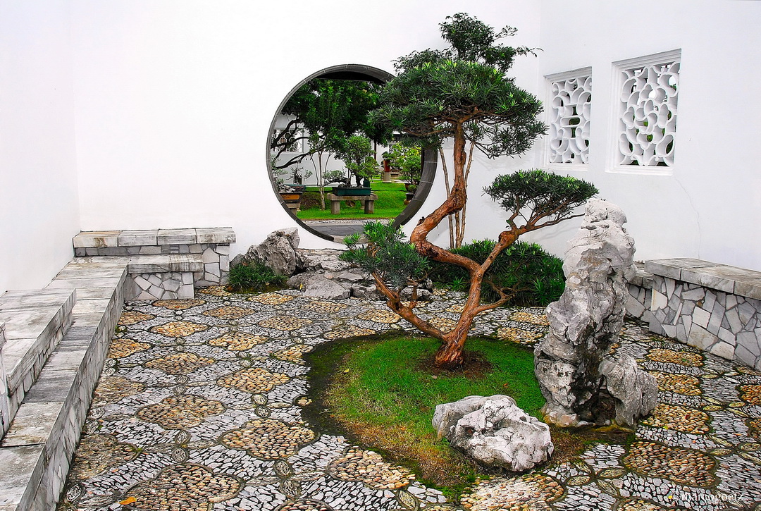 BONSAI GARDEN SINGAPUR