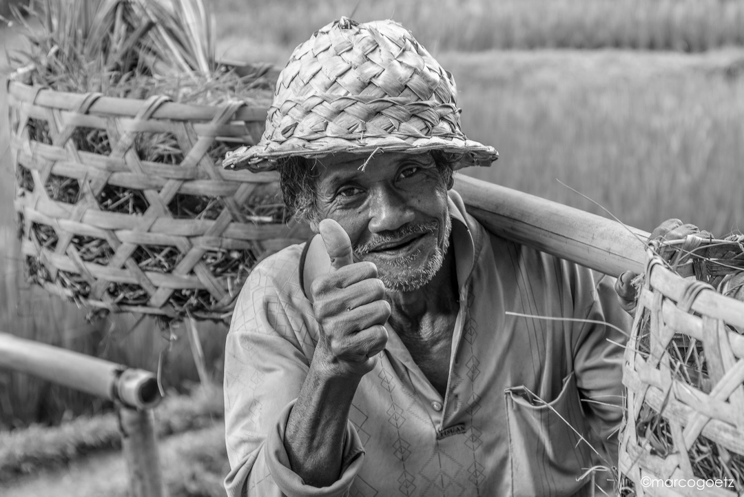 RICE FARMER BALI INDONESIA