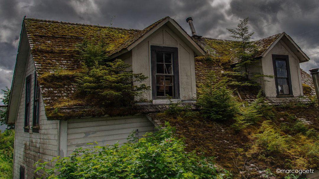 SOD ROOF SITKA ALASKA