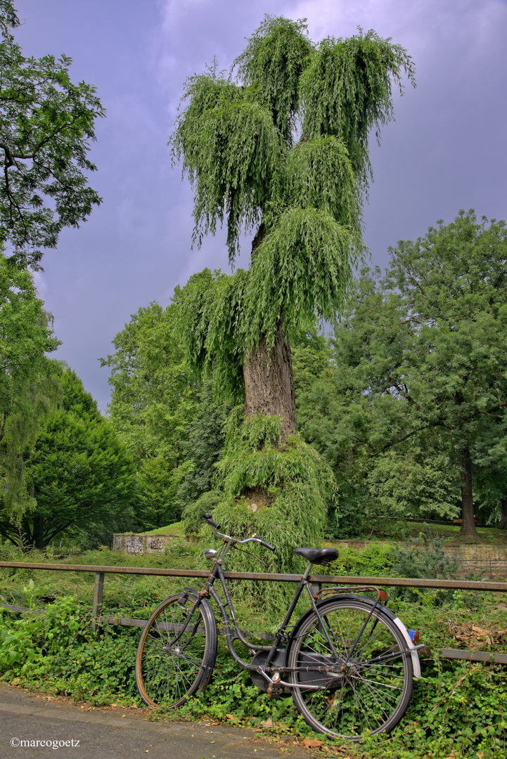 FAHRRAD MUENSTER GERMANY3