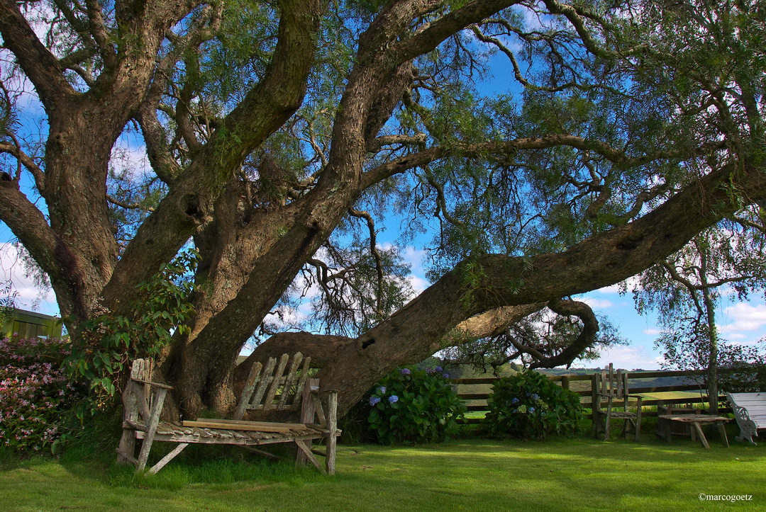 BAY OF ISLANDS NEUSEELAND