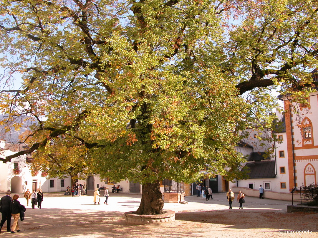 FESTUNG HOHENSALZBURG SALZBURG OESTERREICH