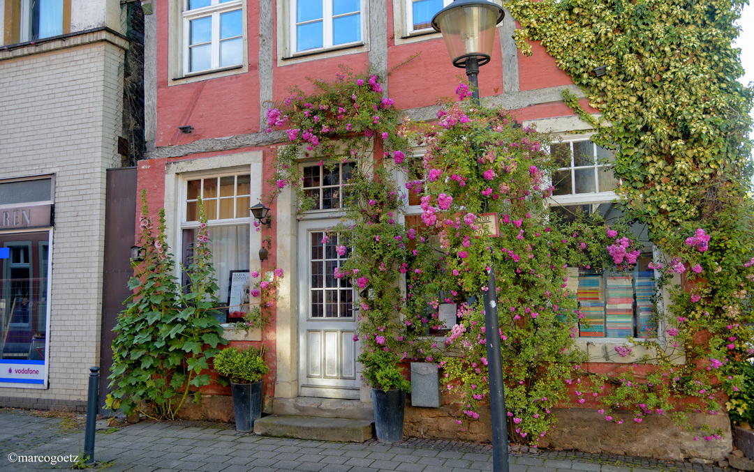 HAUSFASSADE MUENSTER GERMANY