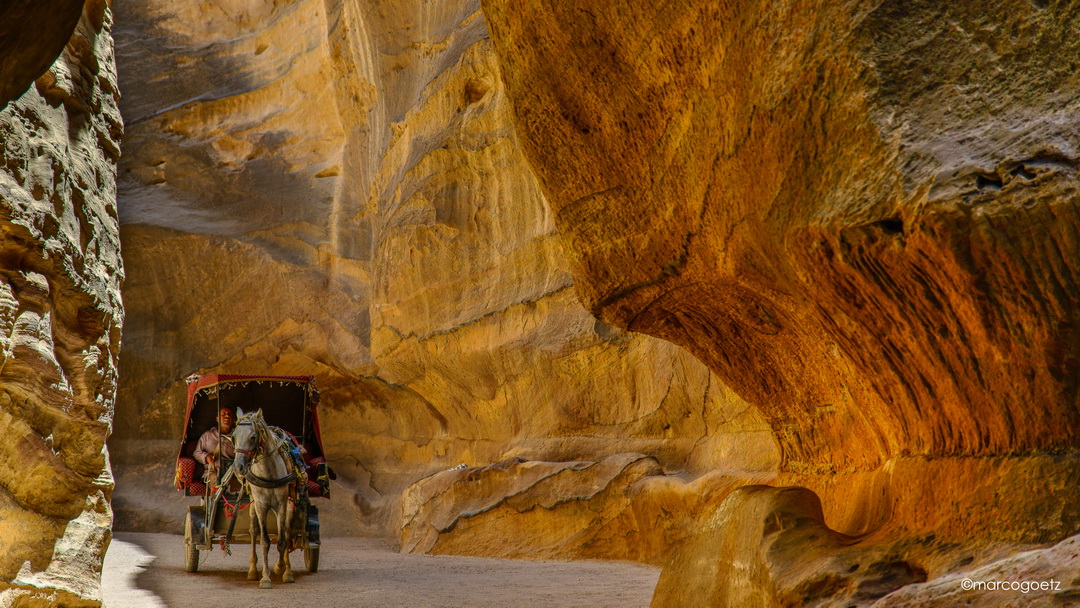 HORSE CART PETRA JORDAN